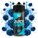Blue Raz 30ml Juicy Flavors