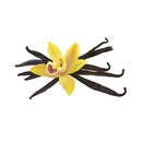 Atmos Lab aroma Vanilla